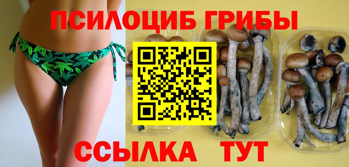 Галлюциногенные грибы мицелий Темрюк