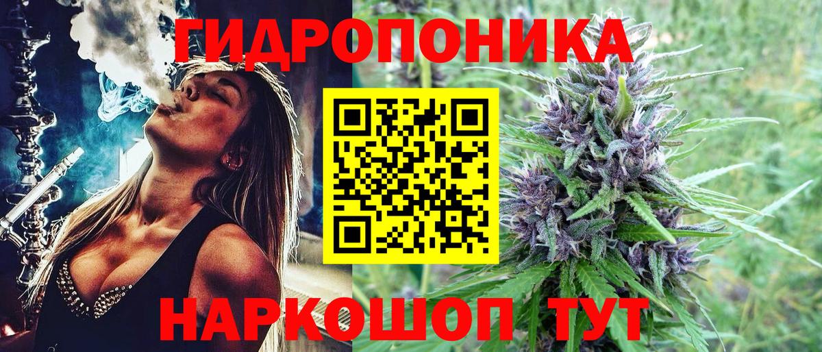Бошки марихуана планчик Темрюк